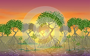 View of sun in the morning