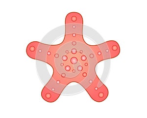 Pink-coral starfish - sea animal - stock vector illustration in cartoon style. Starfish is an inhabitant of the ocean. Inhabitant