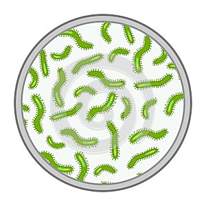 Vector virus and bacteria on microscope view