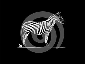 Simple silhouette outline zebra animal photo