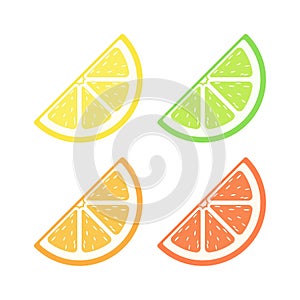 Citrus fruit quarter slice with pulp flat simple vector icon design colored set.