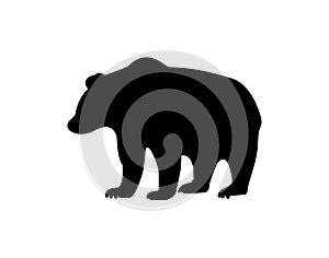 Polar bear icon on white background vector image