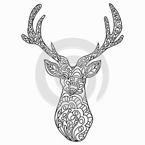 Deer drawn with floral ornament on a white background for coloring, vector