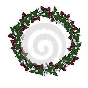 Pattern with berries and raspberry flowers. A wreath with red raspberries, leaves, branches and white flowers.