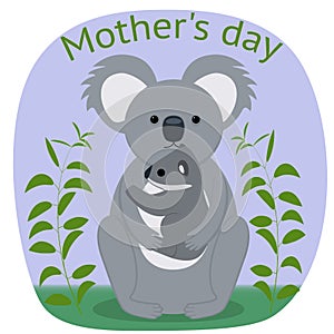 Koala with a baby.Vector image.