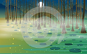 moon light in the night