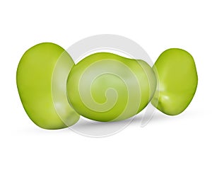 3d vector water melons Illsutration, eps 10. photo