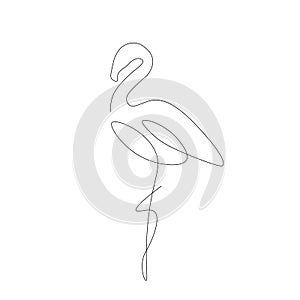Flamingo aninal silhouette line drawing on white