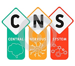 CNS - Central Nervous System. acronym, medical concept background. photo