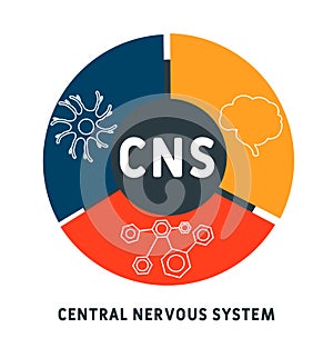 CNS - Central Nervous System. acronym, medical concept background. photo
