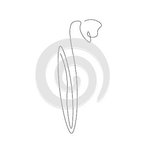eautiful flower drawing on white background. Vector photo