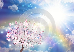 Wish Tree, spiritual healing, rainbow on sky over clouds, bright sun aura photo