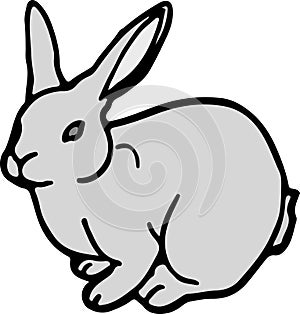 Cartoon rabbit illustration on white