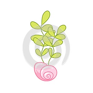 Seaweed cartoon vector illustration. Green algae photo