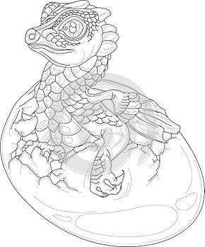 Cartoon fairy tail magic dragon in egg shell sketch template