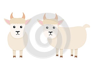 Cute goat character. Cartoon farm animal. Vector illsutration photo