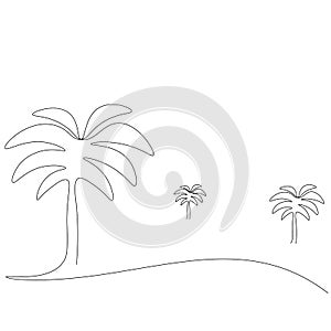 Palm tree drawi on white background vector illustration