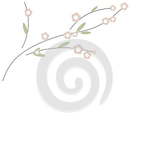 Sakura flowers spring background vector illustration
