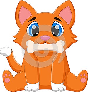 Cute cat biting bone