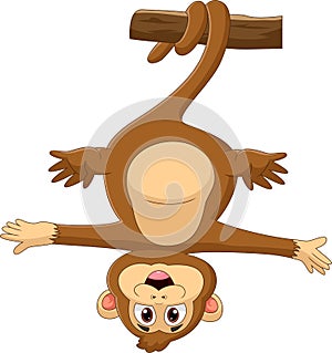 Cartoon monkey hanging upside down on a tree
