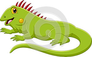 Cute iguanas cartoon