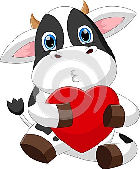 Cute little cow cartoon holding heart love