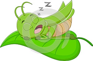 Cartoon grasshopper sleeping on a leaf