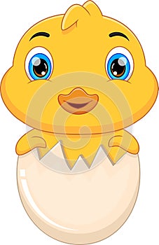 Cartoon baby duck hatching from egg