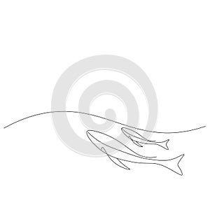 Whales swimmin on sea line drawing, vector illustration