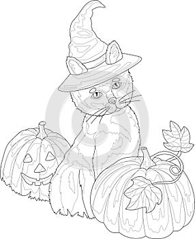 Cute cartoon cat in witch hat sitting with pumpkins sketch template. Spooky Halloween vector illustration in black and white
