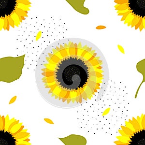 Sunflower flowers. Seamless summer pattern with yellow sunflowers