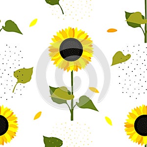 Sunflower flowers. Seamless summer pattern with yellow sunflowers