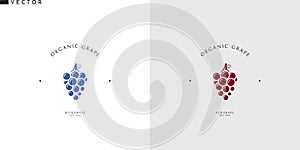 Grape logo. Fresh fruit
