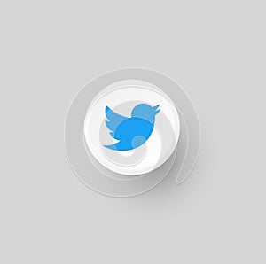 Twitter logo icon original color within white border