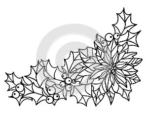 Holly and Poinsettia, Christmas plants - vector linear picture for coloring. Outline. Poinsettia flower, holly leaves and berries
