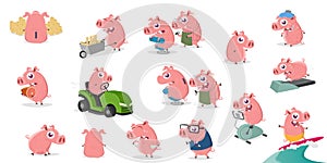 Funny collection of a cartoon pig