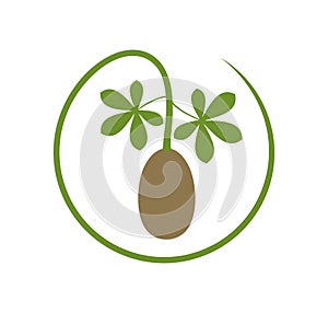 Baobab fruit logo. Isolated baobab fruit on white background