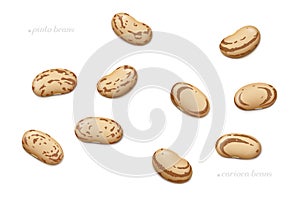 Pinto and carioca beans isolated on white background. Top view photo
