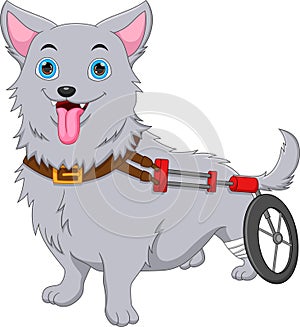 Cartoon dog broken leg and using a wheel
