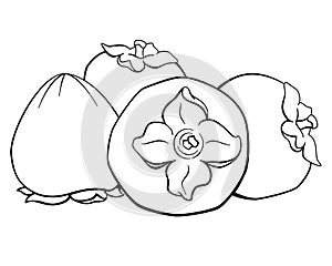 Persimmon, sweet autumn fruits - vector linear picture for coloring. Persimmon fruit for logo, pictogram or coloring book.