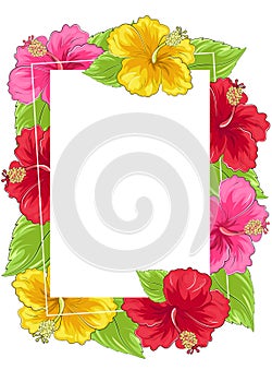 Frame of hibiscus flowers and leaves.