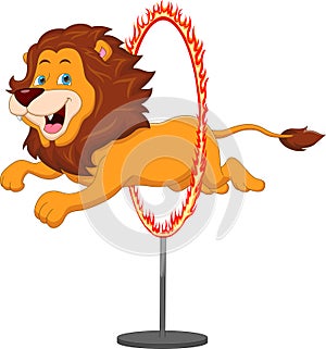 Funny lion circus jumping ring of fire