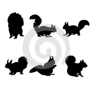 Set of silhouettes of tree squirrels vector design