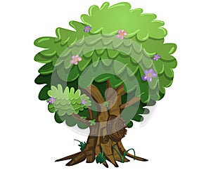 Green Tree , White background