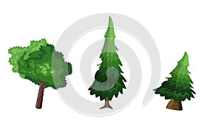 Green Tree , White background