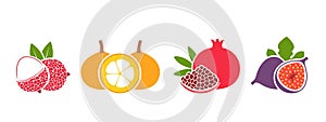 Fruit logo. Isolated fruit on white background