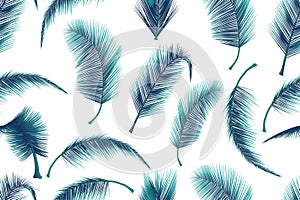Coconut palm leaves pattern