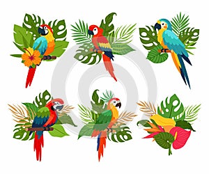Set of parrots with tropical plants in flat style. Tropical composition. Tropical bird. Jungle plants