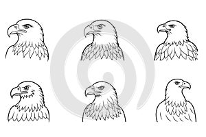 beautiful eagle illustration vector icon file