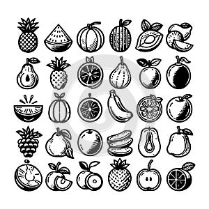 Fresh Fruit Still Life Vector, Lemon Silhouette Set, Delicious Fruits Clip Art Illustration photo